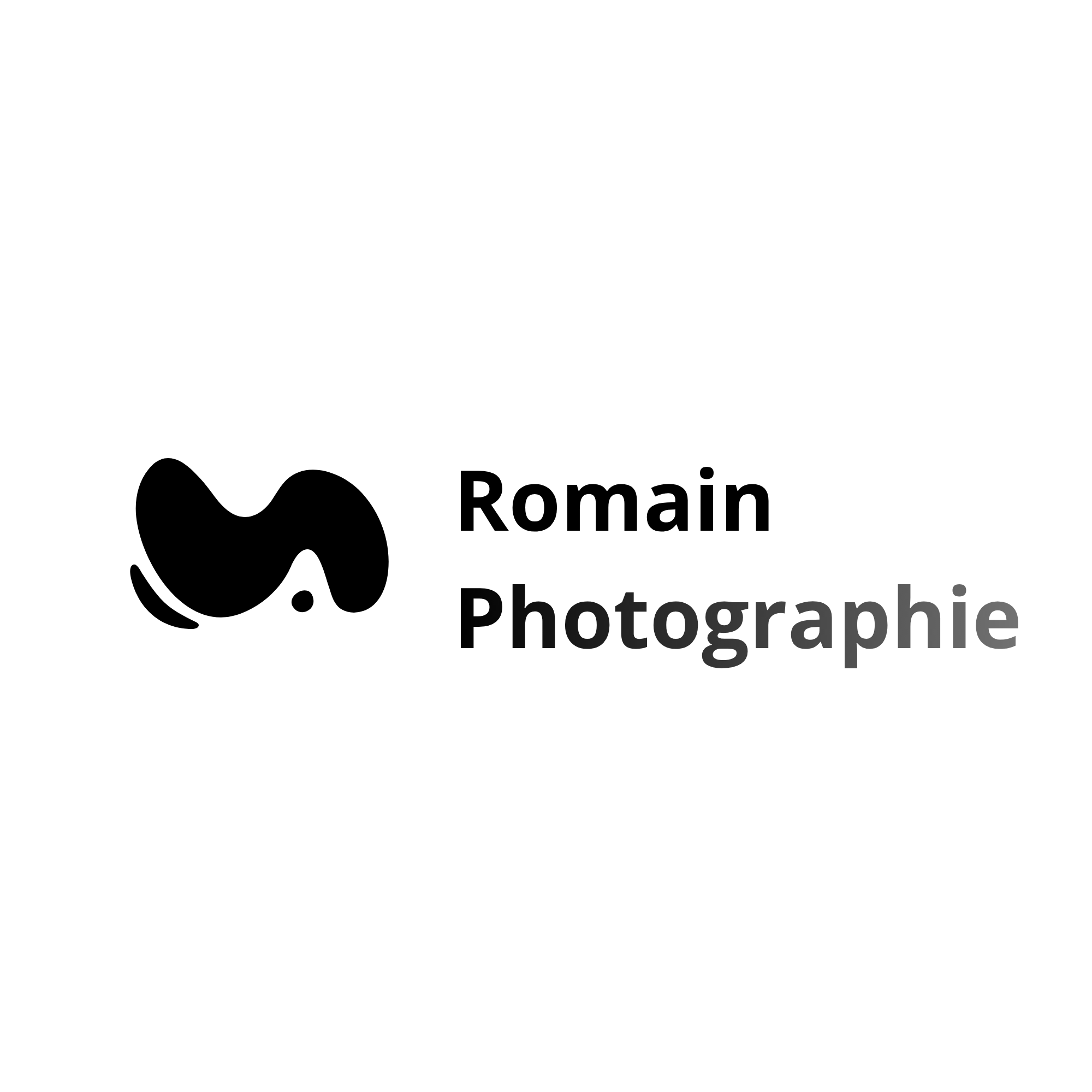 Romain Photographie